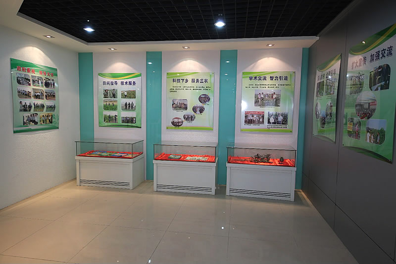 華夏粟糧企業(yè)掠影——小米展廳二