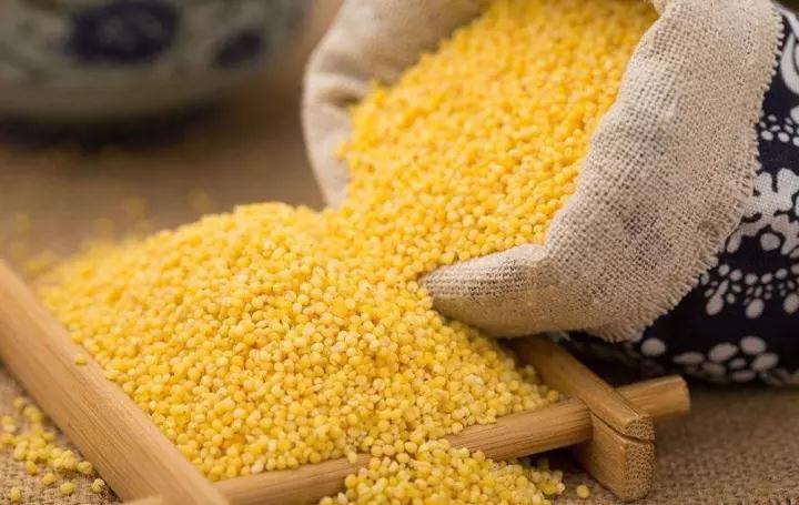 谷子——全球糧食戰(zhàn)略的突破口